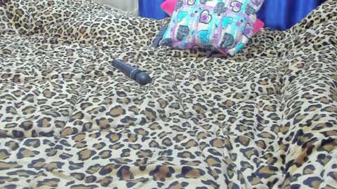 Snapshot of marie_marie03 chatting on 01.23.25 Marie online show from 01.23.25