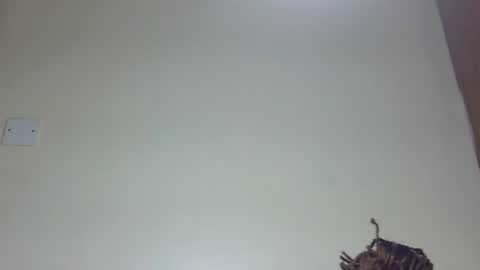 Snapshot of marielove51 chatting on 06.26.26 Marie online show from 06.26.26