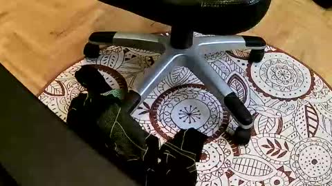 Snapshot of mario659234 chatting on 03.22.26 marcoxxl online show from 03.22.26