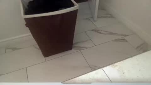 markk702 online show from 10.11.25