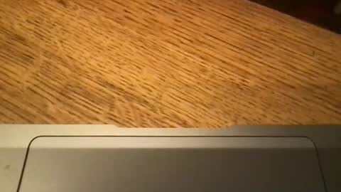 marklondonguy2023 online show from 11.27.25