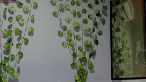 marly online show from 02.26.25