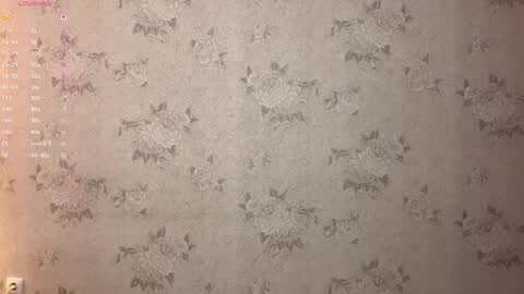 Stephie online show from 02.17.26