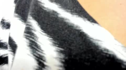 Marylin online show from 03.01.25