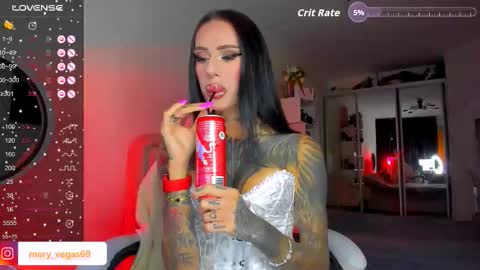 Snapshot of maryvegas chatting on 02.17.26 Mary online show from 02.17.26