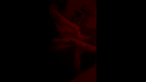 mas62491 online show from 11.19.25
