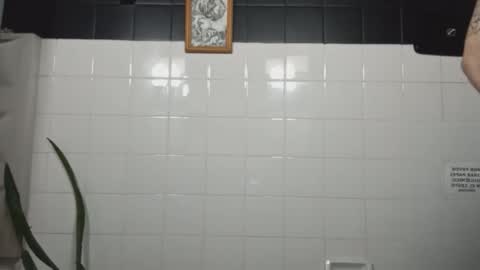 masachusset online show from 01.06.26