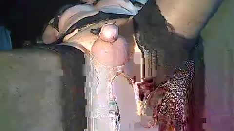 Snapshot of maschpro chatting on 12.26.24 maschpro online show from 12.26.24