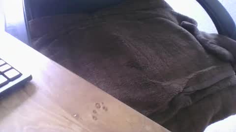 Snapshot of maskime59 chatting on 02.21.26 maskime59 online show from 02.21.26