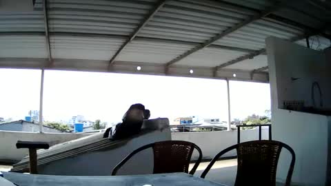 Master Cospi online show from 02.14.25