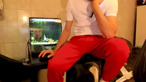 Silly Rabbit  online show from 02.22.26