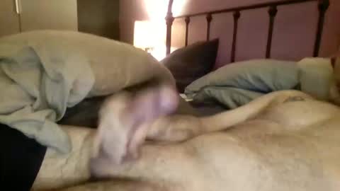 matrixdog69 online show from 11.04.25