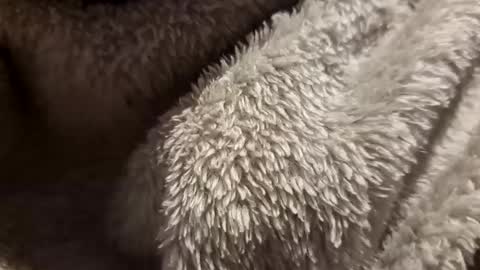 Snapshot of mattca80 chatting on 10.04.25 mattca80 online show from 10.04.25