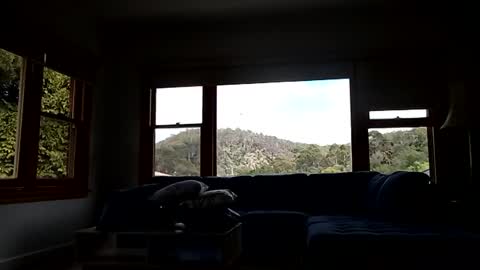 Snapshot of mattlesnake_101 chatting on 02.15.26 mattlesnake_101 online show from 02.15.26