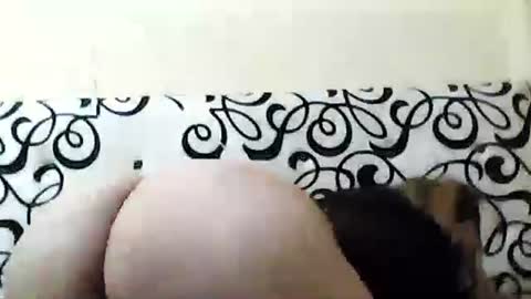 Snapshot of mature_sweet3827 chatting on 12.06.24 mature_sweet3827 online show from 12.06.24