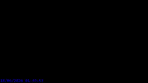 Maxel F online show from 06.17.26