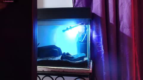 Max online show from 03.09.26