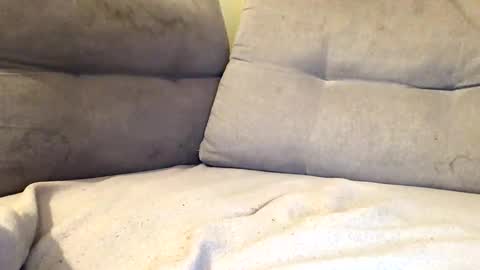 Snapshot of maximemax14 chatting on 02.25.26 maximemax14 online show from 02.25.26