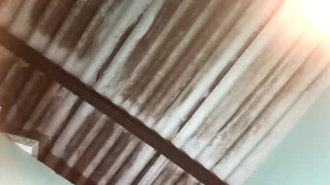 Maximo Aron Vega online show from 01.25.25