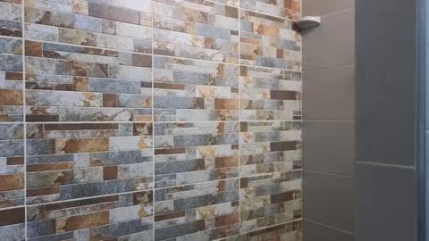 Sebastian online show from 12.24.24