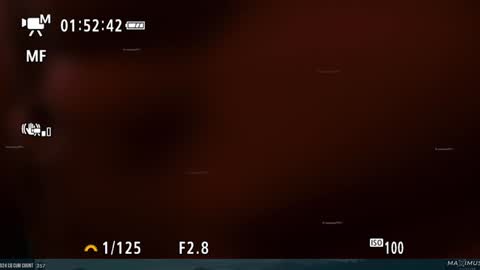 Maximus7871 online show from 01.31.25