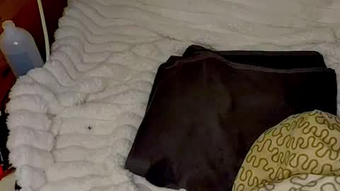 maybeanal online show from 10.30.25