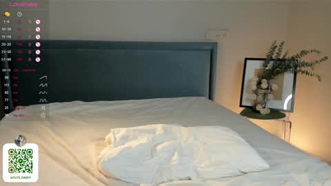 Snapshot of maydacarls chatting on 02.02.25 My name Casey online show from 02.02.25