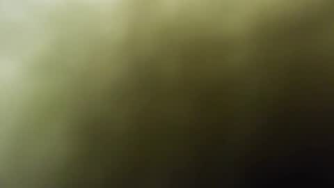 maylee_x online show from 02.15.25