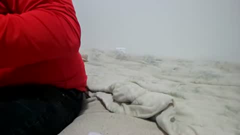 McFly online show from 04.28.26