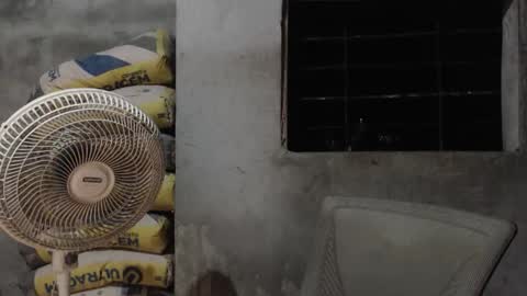 Mcgregor online show from 10.22.25