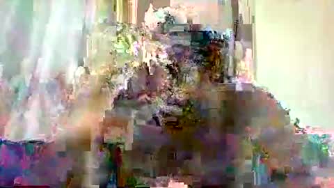 mclntz_bbc online show from 05.13.26