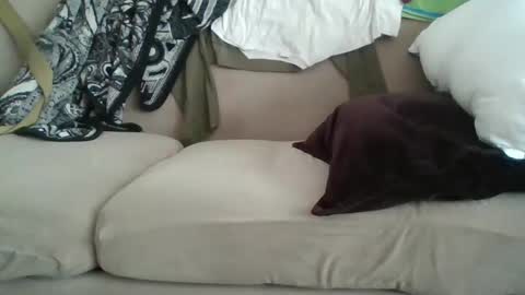 yung n hung online show from 02.08.25