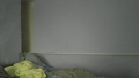 Oltereodora-lima online show from 12.30.24