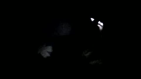 Oltereodora-lima online show from 02.06.25