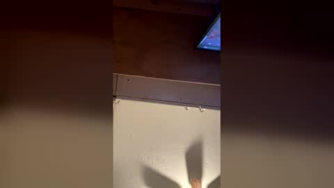 meep08 online show from 01.08.26