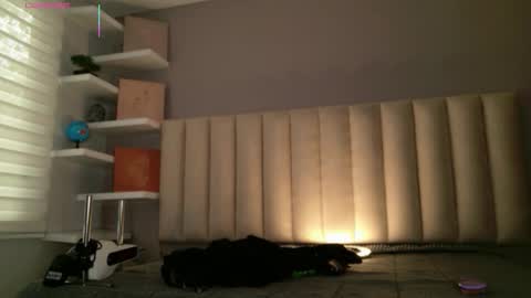     online show from 02.10.26