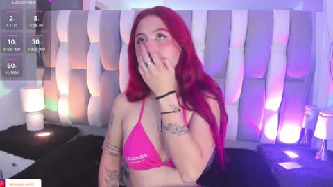  Megan  Online 1200am To 600 am Colombian time online show from 02.22.25