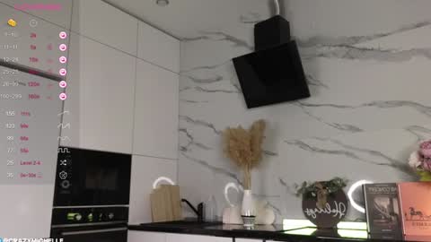 Snapshot of megancooks chatting on 01.23.25 Michelle online show from 01.23.25