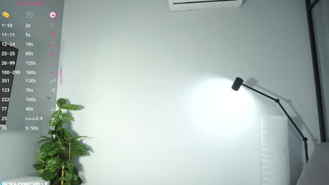 Snapshot of megancooks chatting on 02.01.25 Michelle online show from 02.01.25