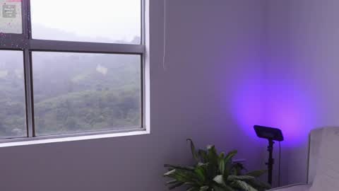 meiis3 online show from 01.09.25