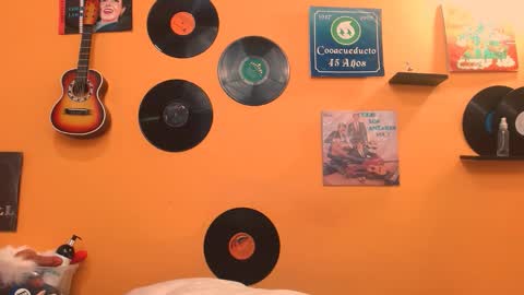 MEIS online show from 01.08.26