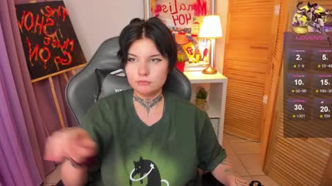 Snapshot of mekurisu chatting on 01.17.25 mekurisu online show from 01.17.25