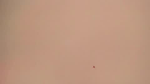 Snapshot of melanie__evans chatting on 05.05.26 melanie__evans online show from 05.05.26