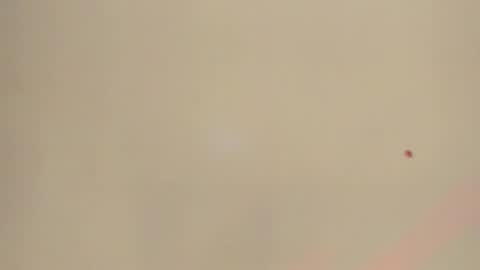Snapshot of melanie__evans chatting on 05.12.26 melanie__evans online show from 05.12.26