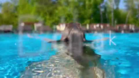 Adel online show from 02.28.26