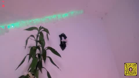 Snapshot of meliss1 chatting on 09.20.25 melissa online show from 09.20.25