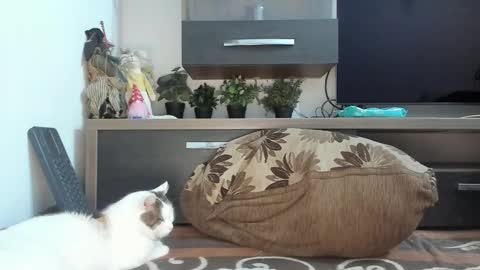 MellyMell  online show from 02.18.25