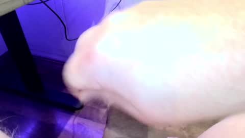 mellomike online show from 09.22.25