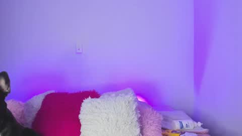    online show from 02.09.25