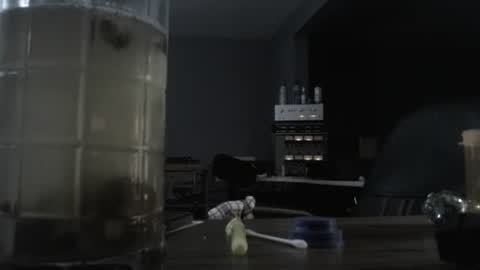 I am usually high and horny...lol online show from 10.21.25